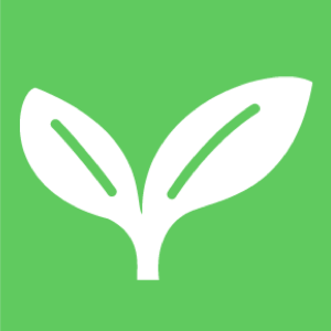 植物の発芽と成長