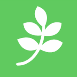 植物のつくりとはたらき