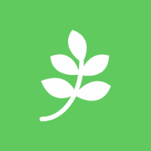植物のなかま分け