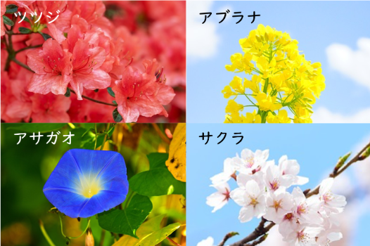 植物のなかま分け | ICT教材eboard（イーボード）