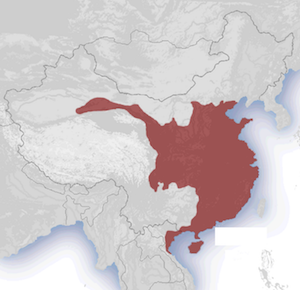 畿内と東国の瓦/図版は436点収録・採録対象は飛鳥～平安時代