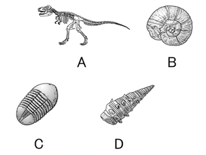 地層 Ict教材eboard イーボード