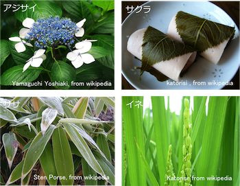 植物のつくりとはたらき Ict教材eboard イーボード