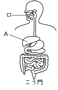 動物の体のつくりとはたらき Ict教材eboard イーボード