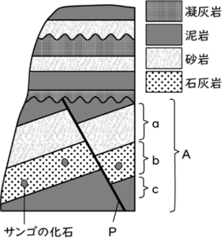 地層 Ict教材eboard イーボード